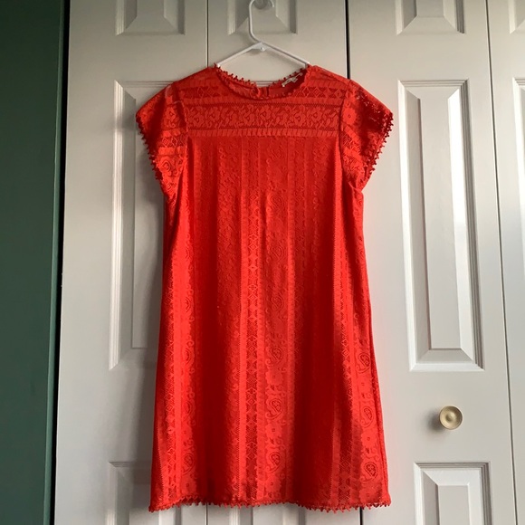 Orange Lace Dress - Picture 1 of 5